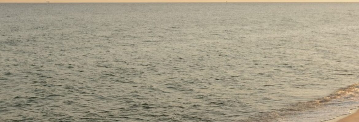 A. Lynne Photography