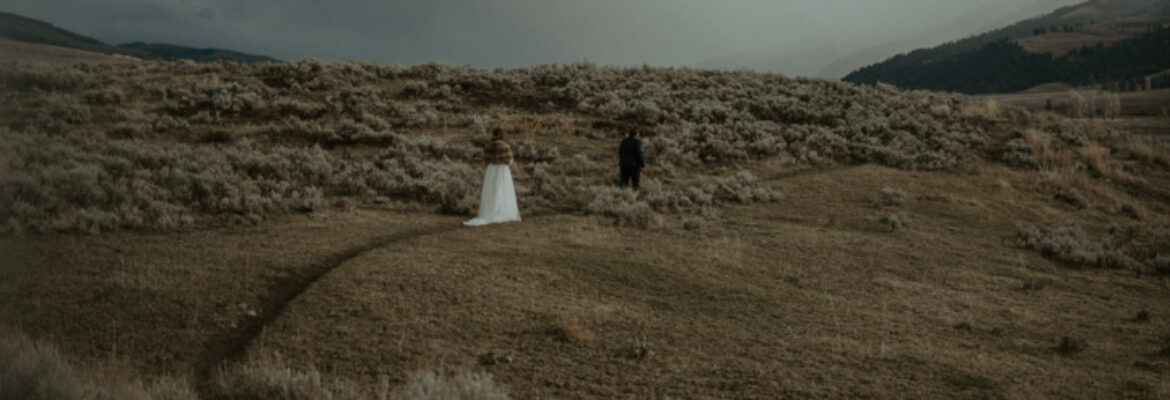 J. Willis Photography