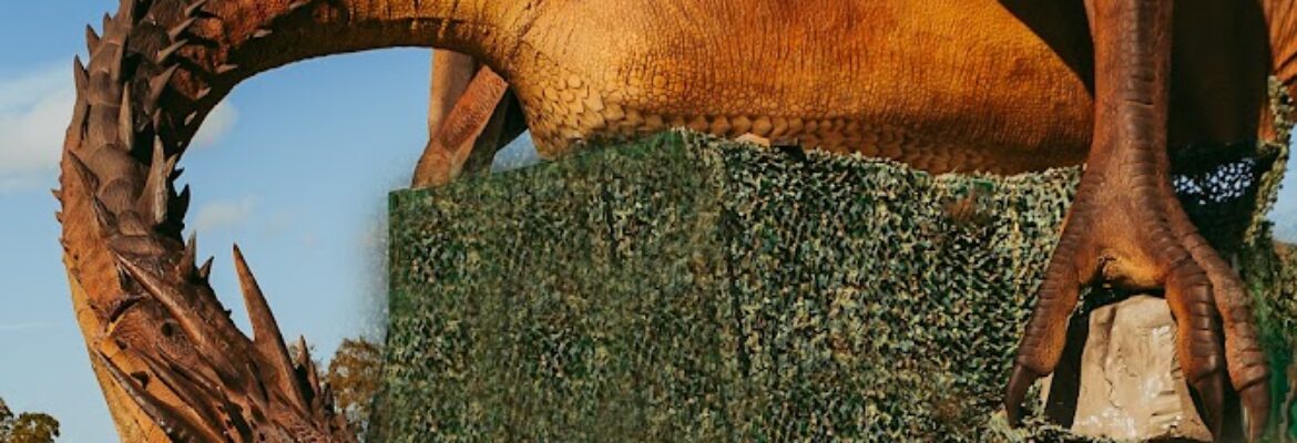 Love Photography by Kelsie Johnson