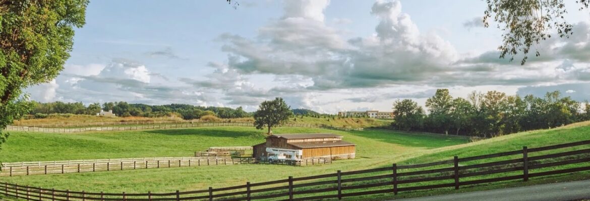 Chadeveryday – Photographer & Videographer