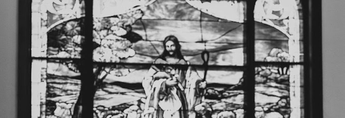 Taylor Smith Photo & Video