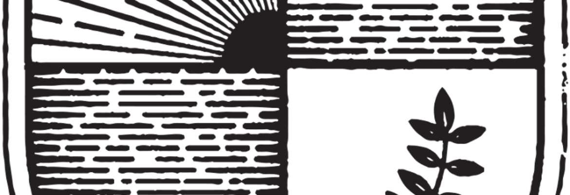 Destination Wedding Videography | Andrew Abajian