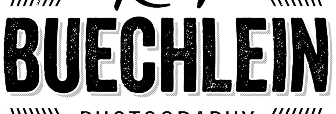 Kelly Buechlein Photography