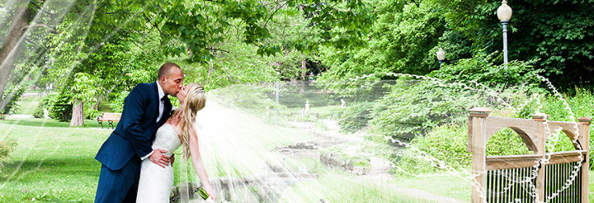 Anna Cascio Photography