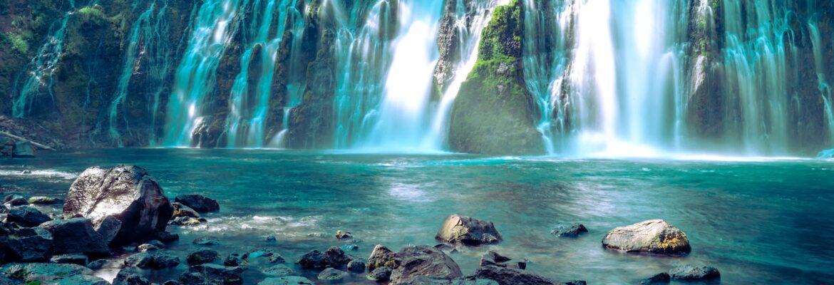 Tim Shill Photography