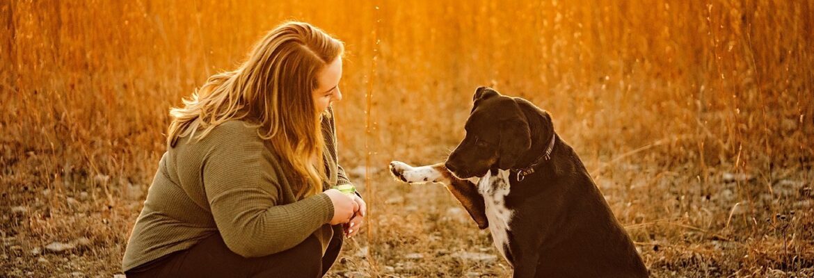 Gina Whalen Photography, LLC