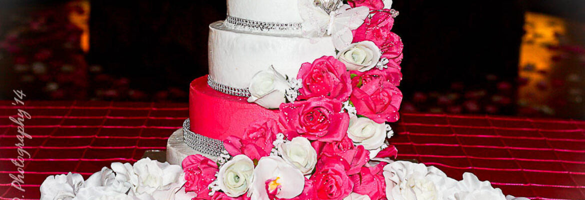 Sammy D. Photography