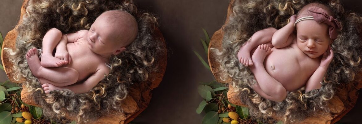 Paige Porchia Photography