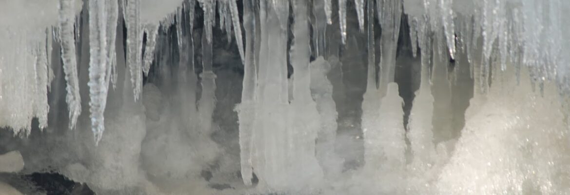 One Notion Photography