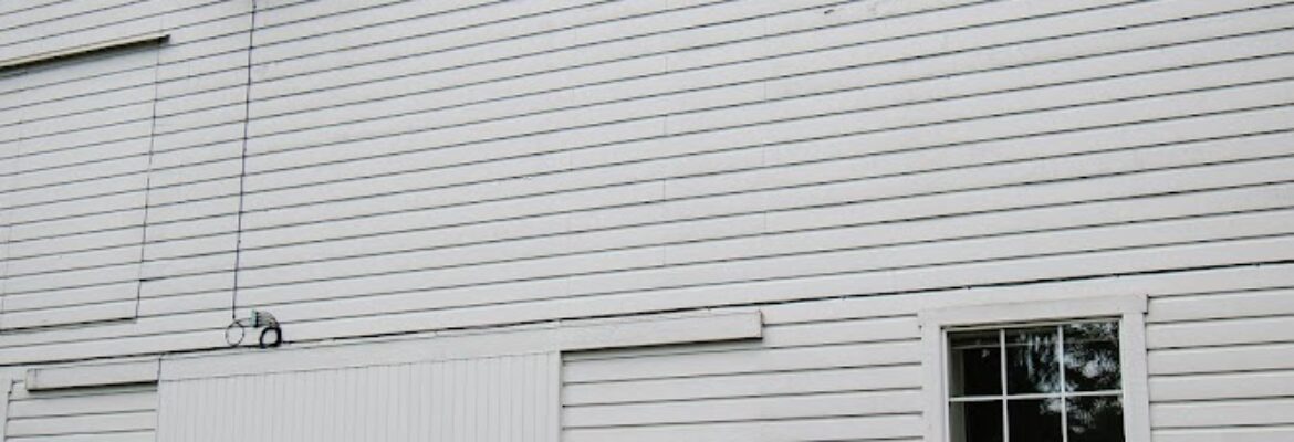 Chelsea Tornga Photography