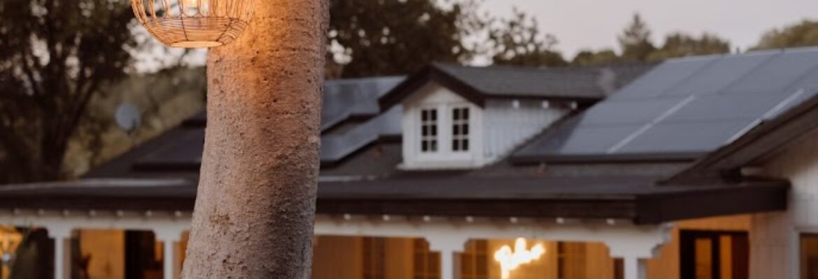 Alison Renee Photography