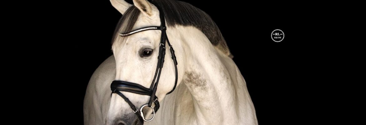 RL Equine