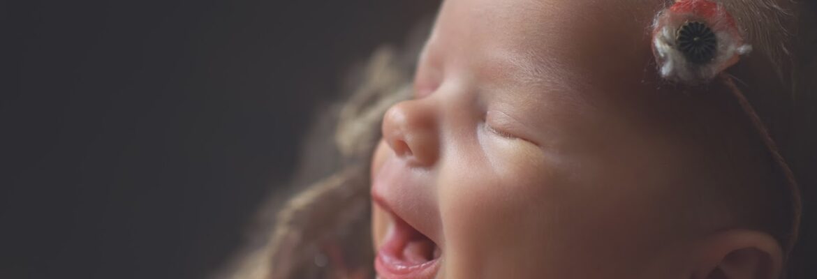 Reflections by Amanda Lee