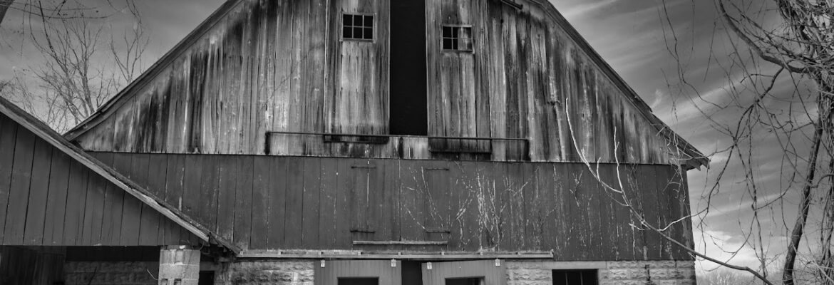 ANewbyS Photography, LLC