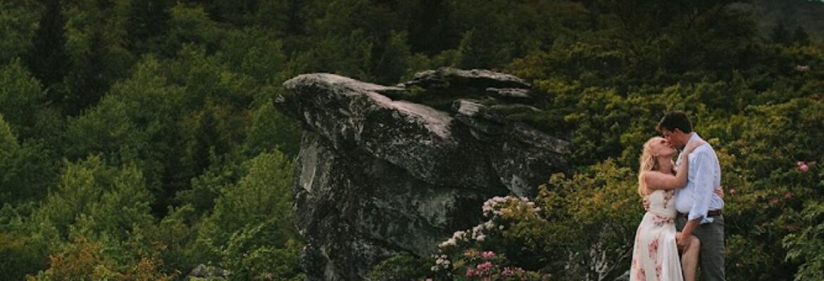 MORNINGWILD Photography