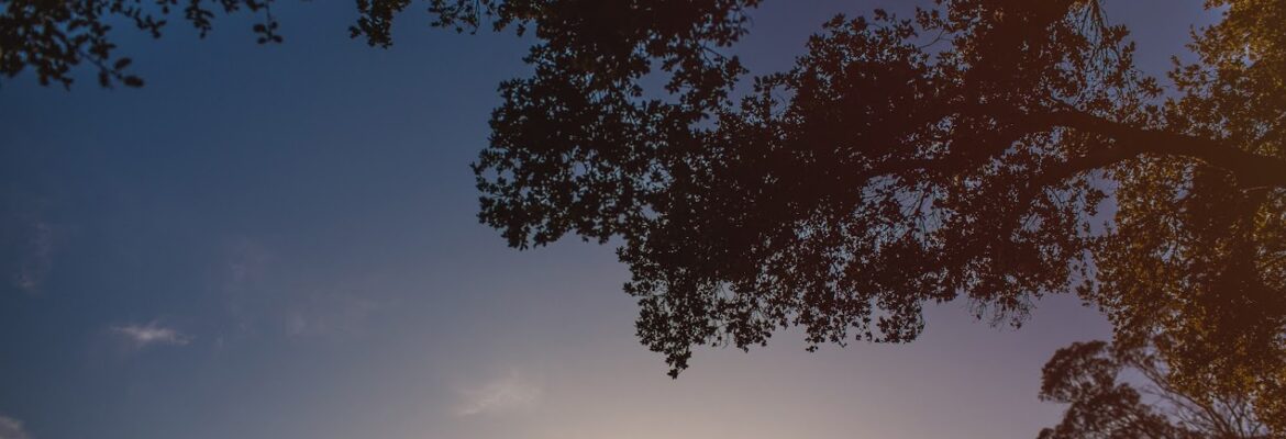 Montana Dennis Photography