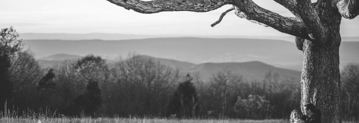 Avail Visuals | All Things Videography & Photography