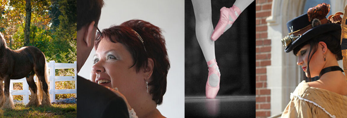 Foxglove Photography