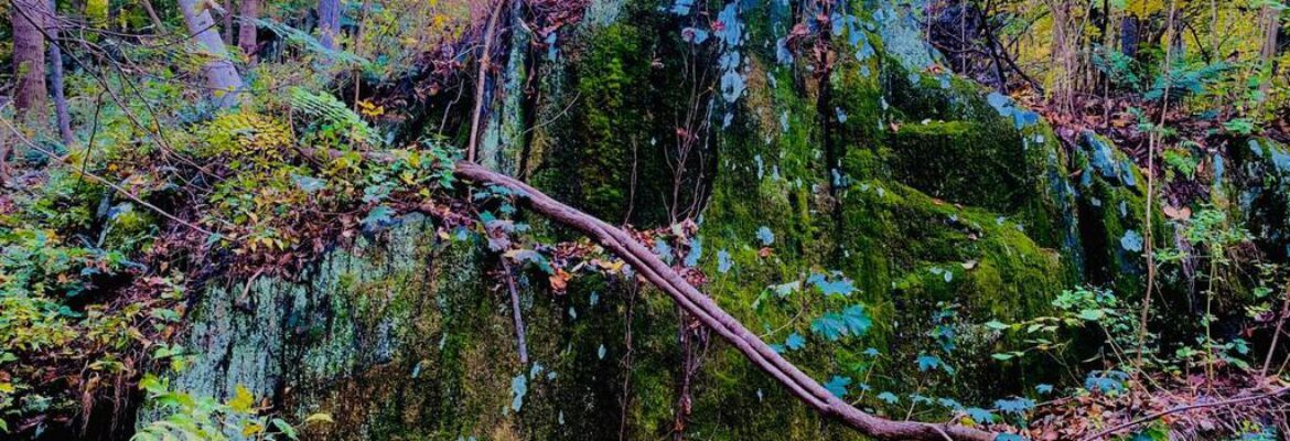 cellaeyephoto