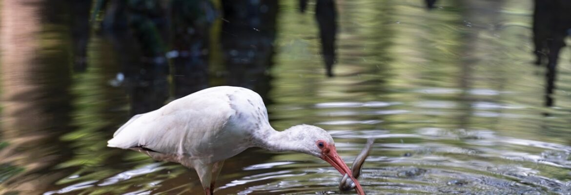 Grant Watts Photography