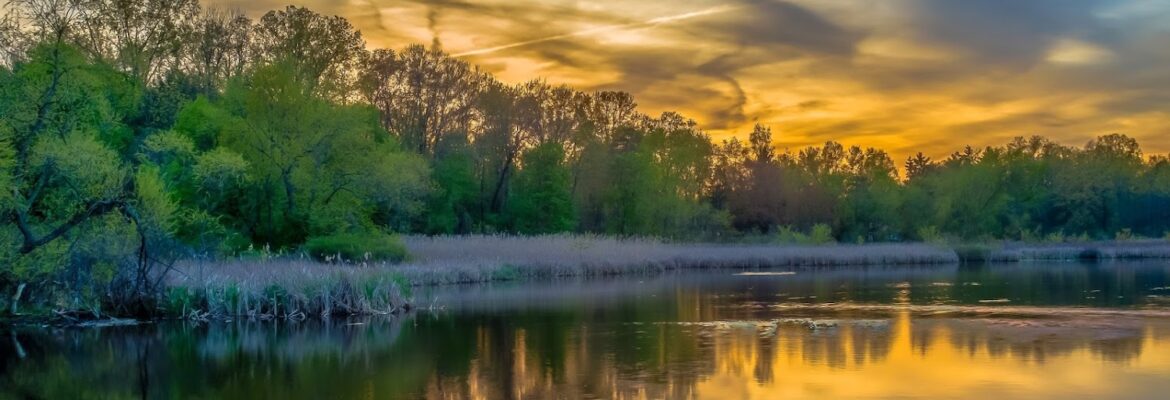 Shaun Eastin Photography