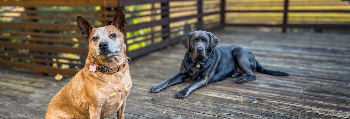 Keepsake in the Park