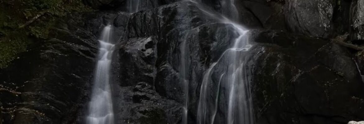 802 Vermont Photography