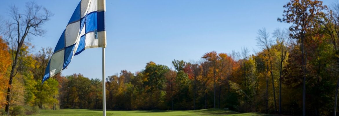 Olympia Virtual Tours & Photography