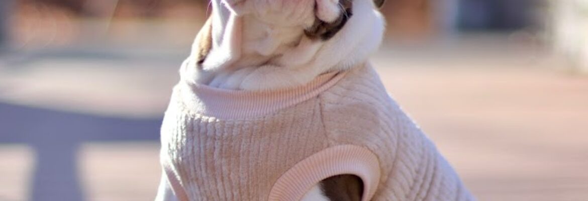 Lacie Heys Photography