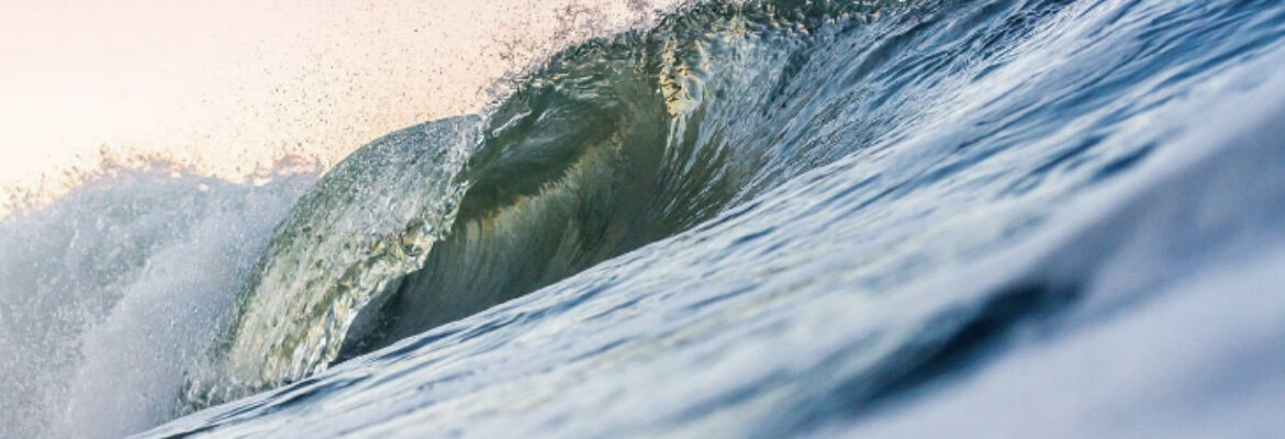 Pink Fin Photography