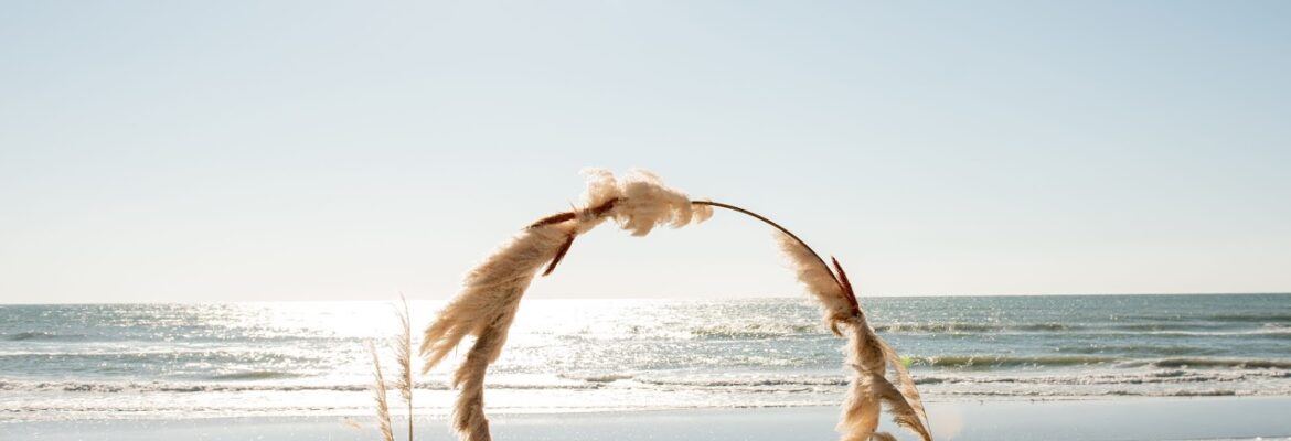 Sullivan Photography