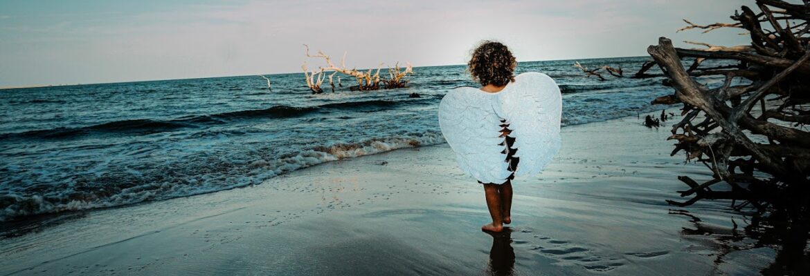 Bold and Bashful Photography
