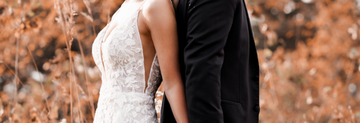 Glowing Lotus Photos