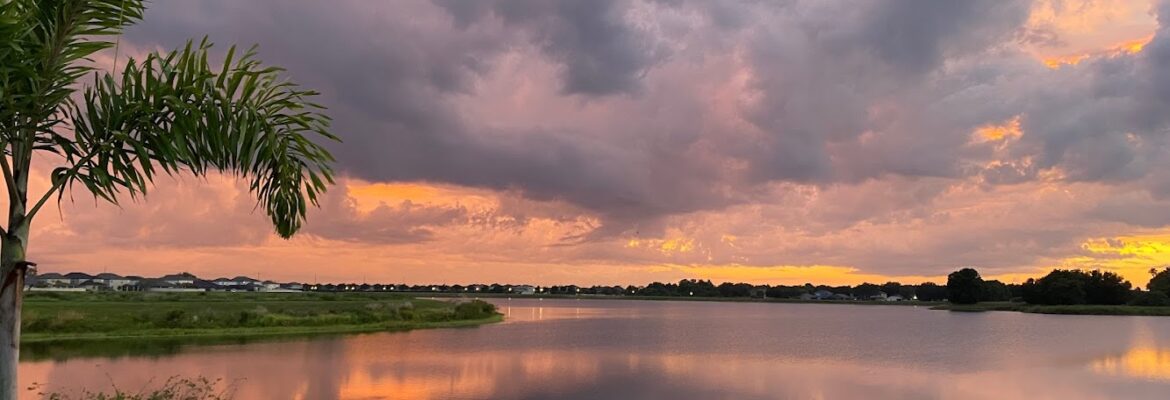 Misty Jones Photography