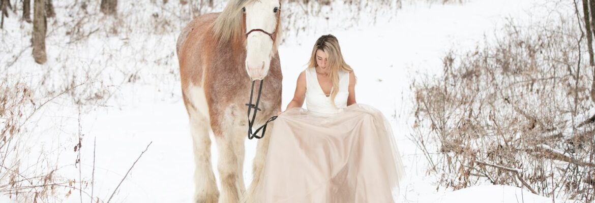 Elyse Bullard Photography