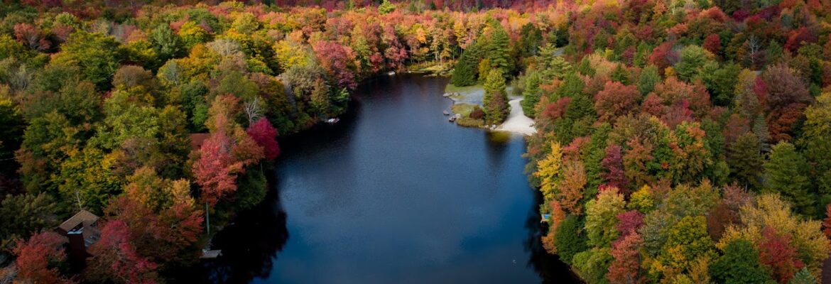 Mark Luethi Photography