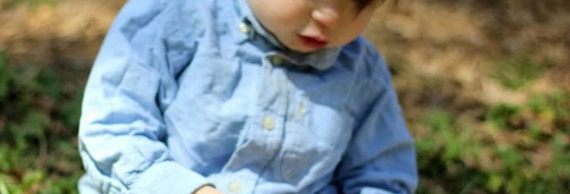 Picsi Images