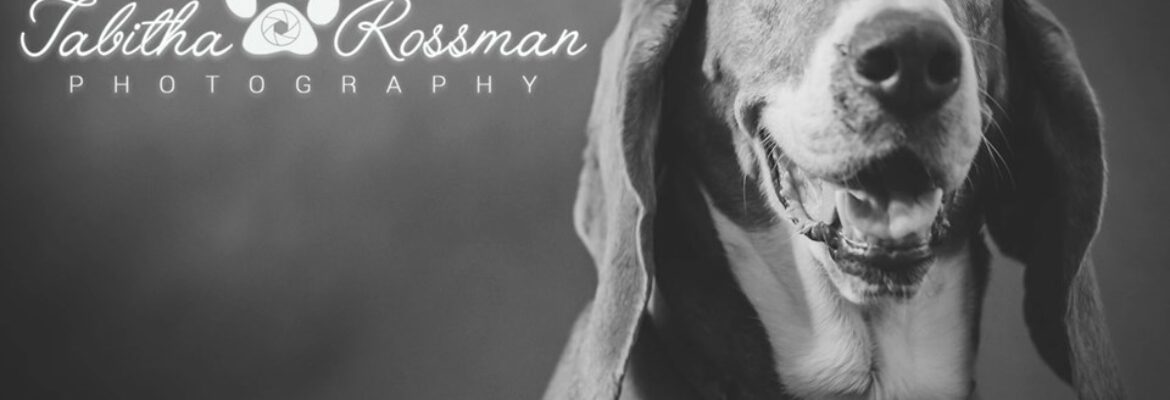 Tabitha Rossman Photography, LLC