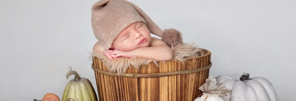 Wonderland Family Photo Studio