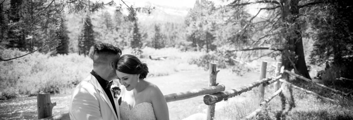 Vida Beleza – Photography