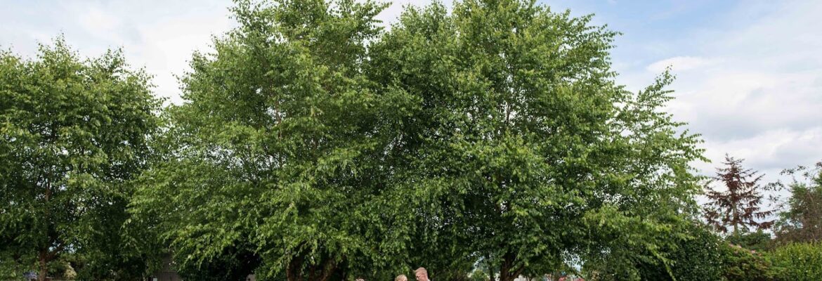 Leif Andersen Photography