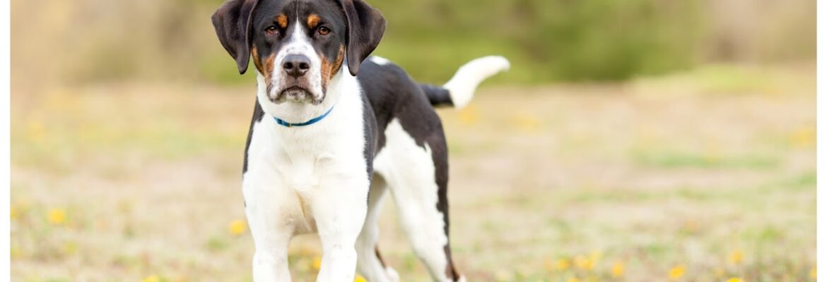 Sarah M Stone Photography