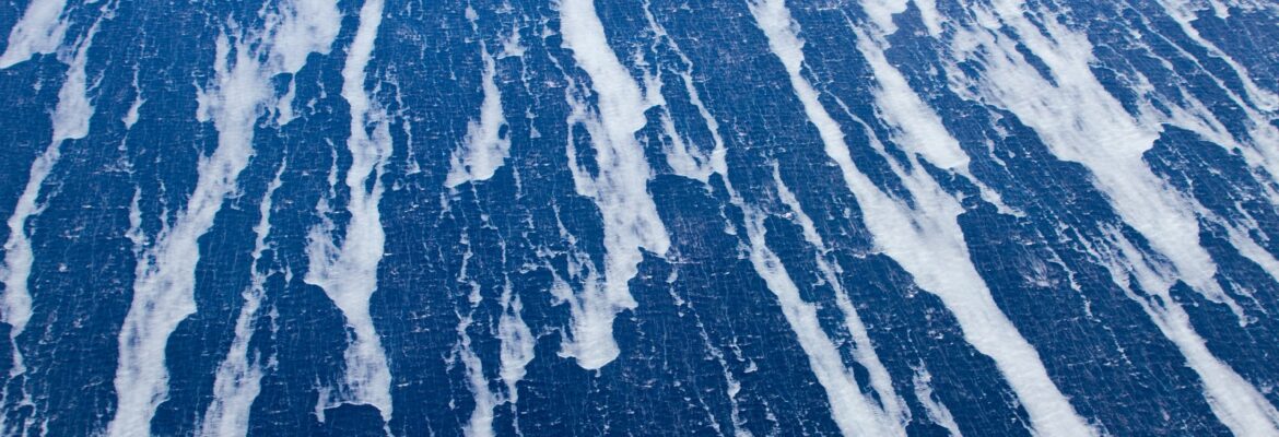 Charmed Planet Photography