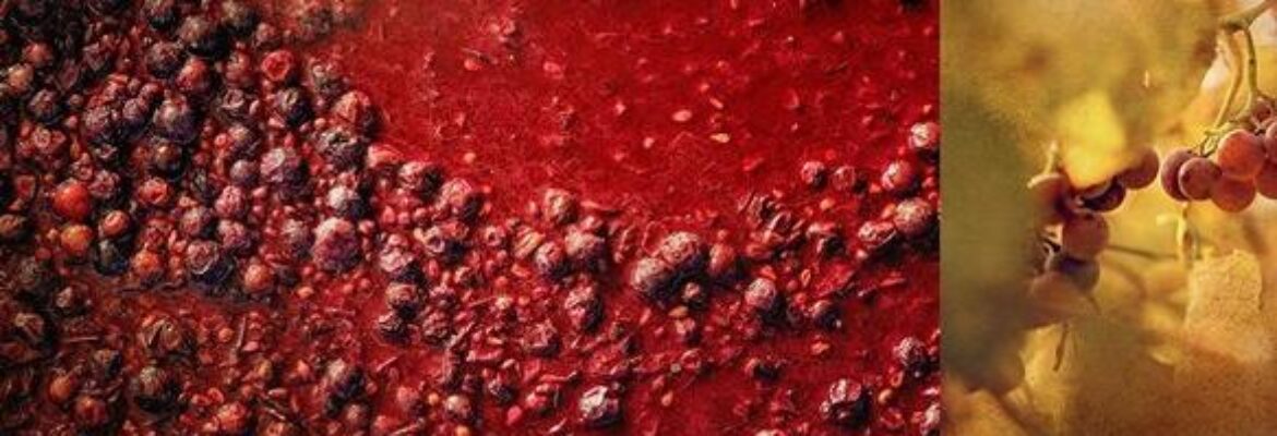 Earl Richardson Photography