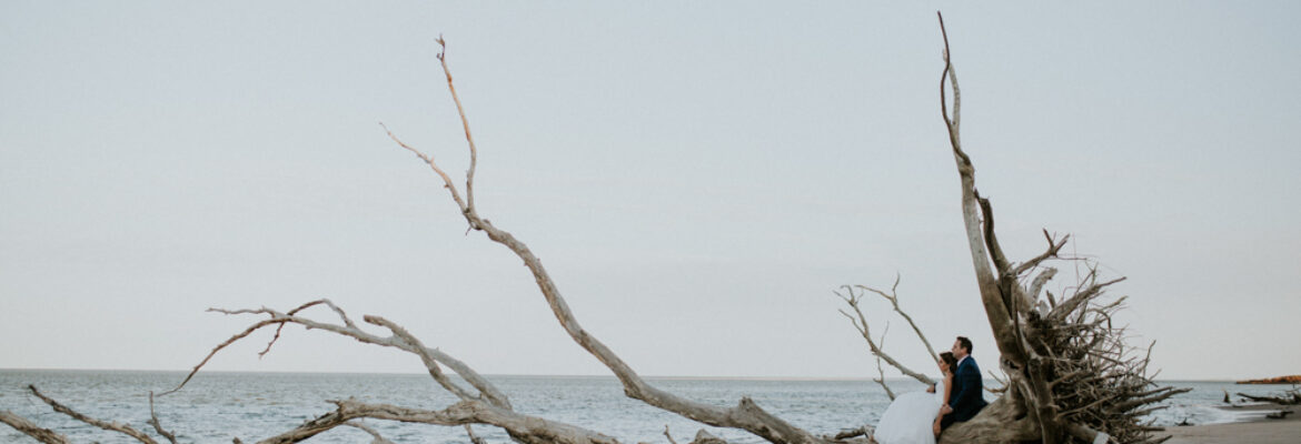 Ashley Nicole Johnson Photography