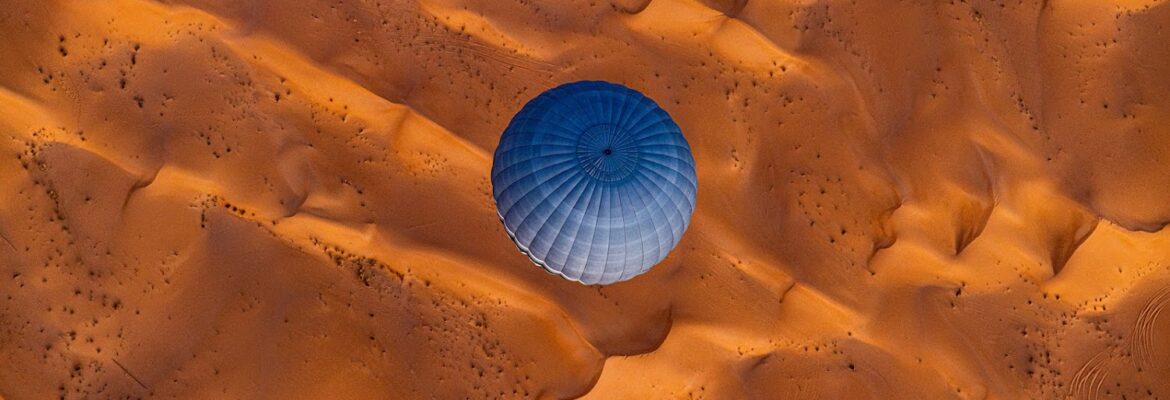 Shea Winter Photography