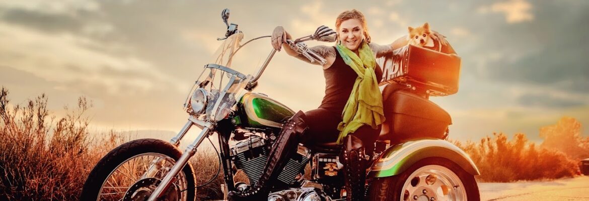 Art of Roxy Photography