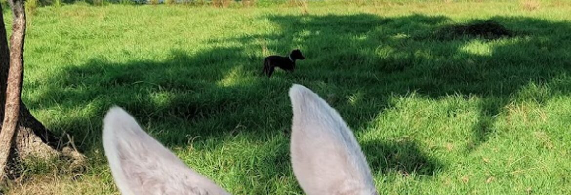 D&H Studio and Photography