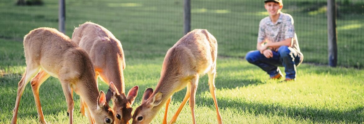 Beth Carter Photography