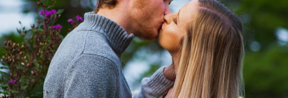 Songbird and Swallowtail